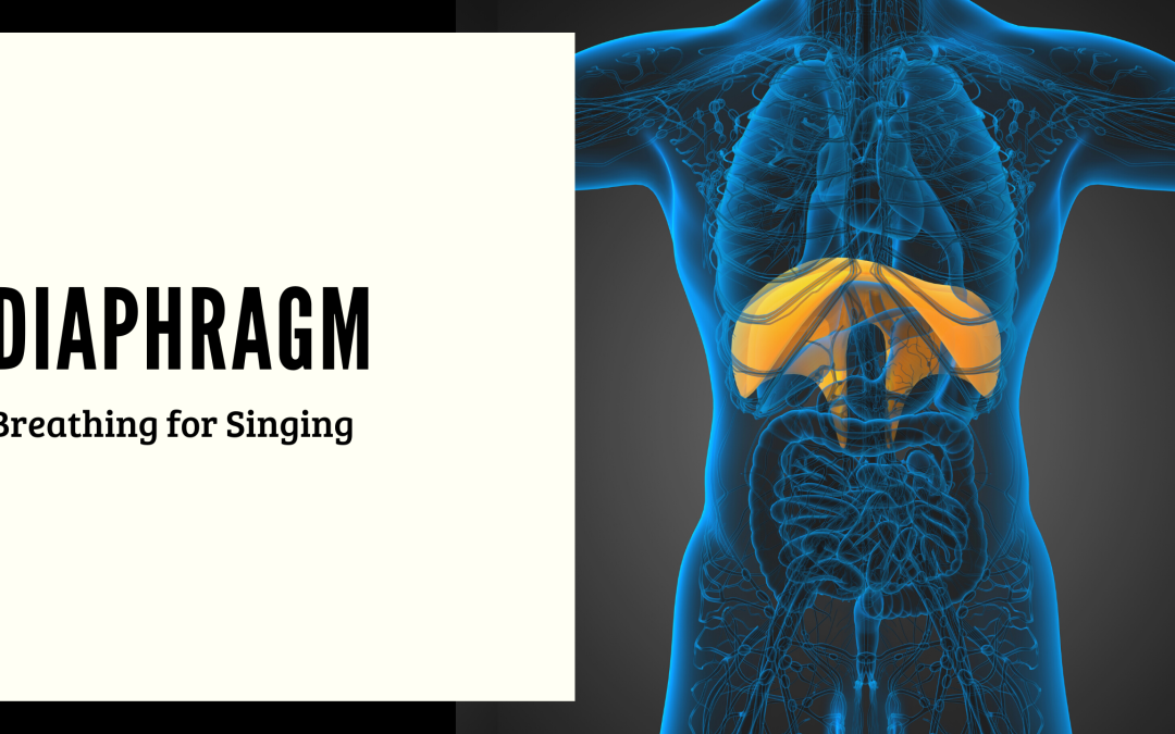 What is Your Diaphragm?